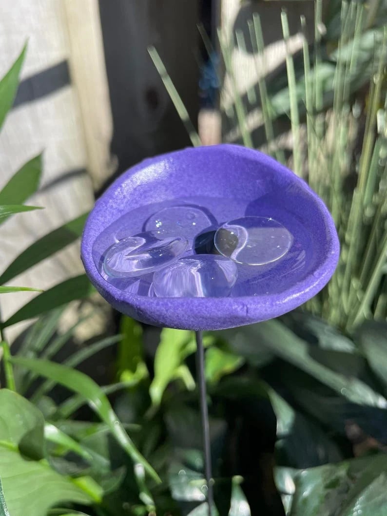 Sitewide! 🐝Bee Watering Station,🦋Butterfly Puddler,Hummingbird Drinking Cups