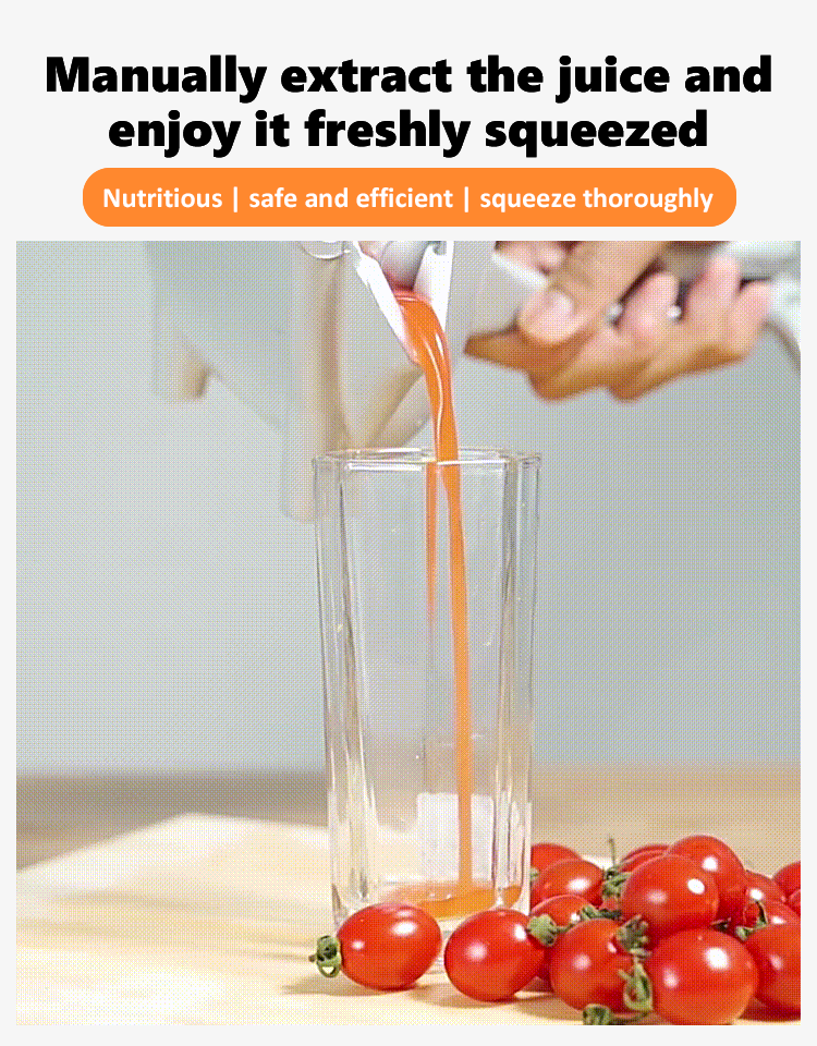 【Buy 1 Get 1 Free】304 Stainless Steel Manual Juicer - 360° Pressing, Pure Juice, No Waste💪🍹