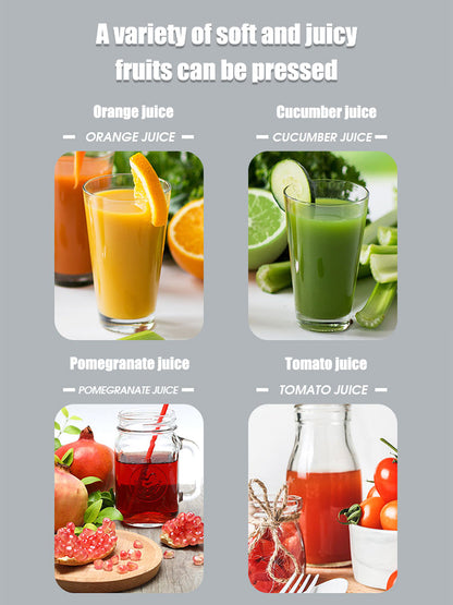 【Buy 1 Get 1 Free】304 Stainless Steel Manual Juicer - 360° Pressing, Pure Juice, No Waste💪🍹