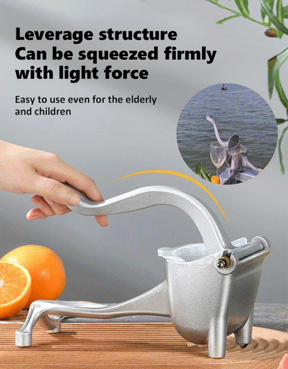 【Buy 1 Get 1 Free】304 Stainless Steel Manual Juicer - 360° Pressing, Pure Juice, No Waste💪🍹