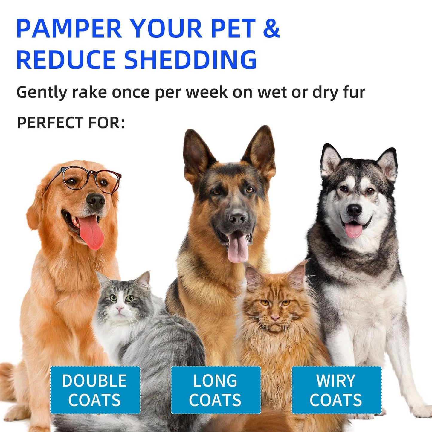 🐱🐶Smart pet spray hair removal comb🐾